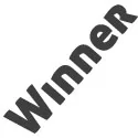 Пули Winner