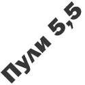 Пули калибра 5,5